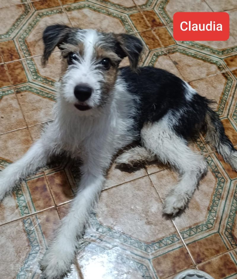 Claudia